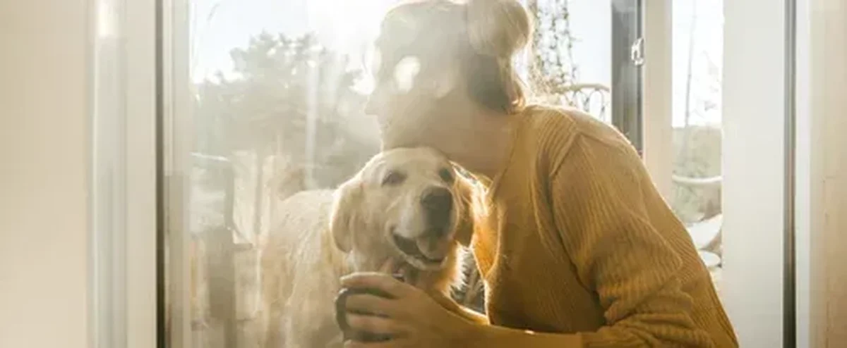 happy dogs.png
