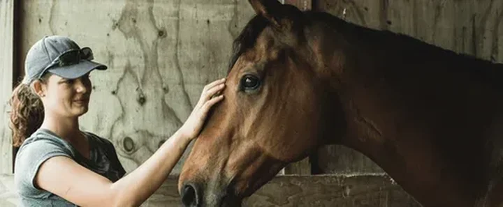 horse2.png