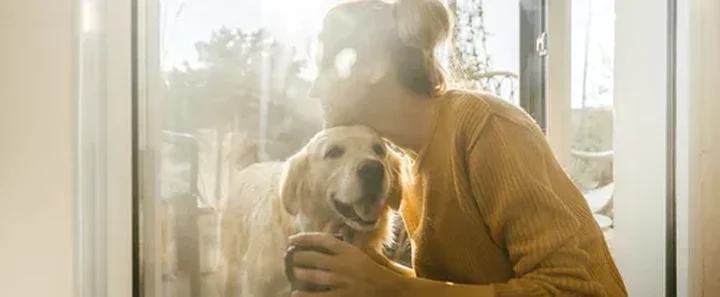 happy dogs.png