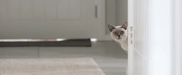 Blog Header.png