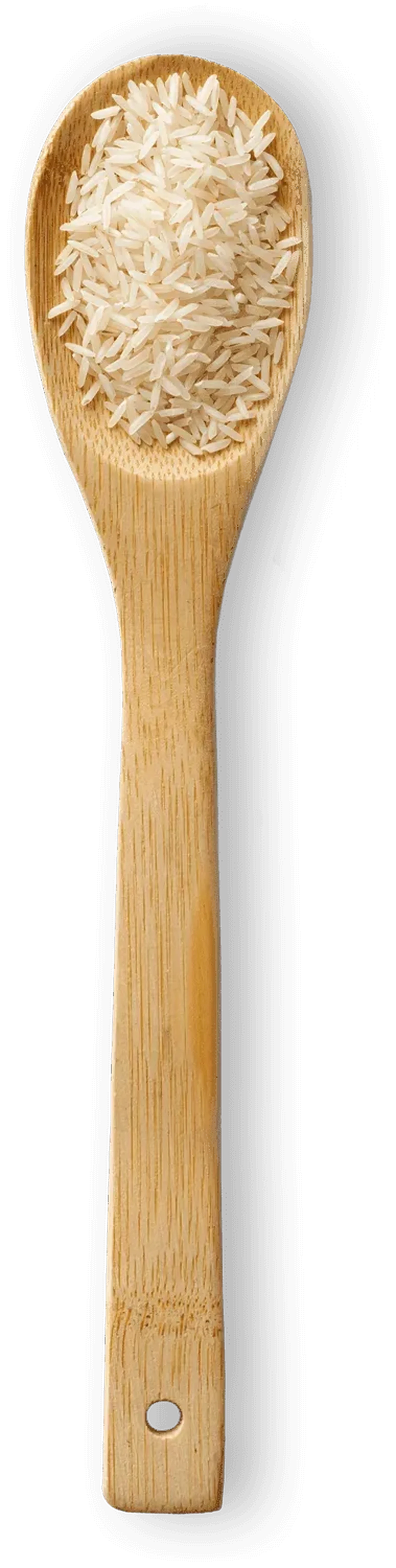 Spoonful of Basmati rice