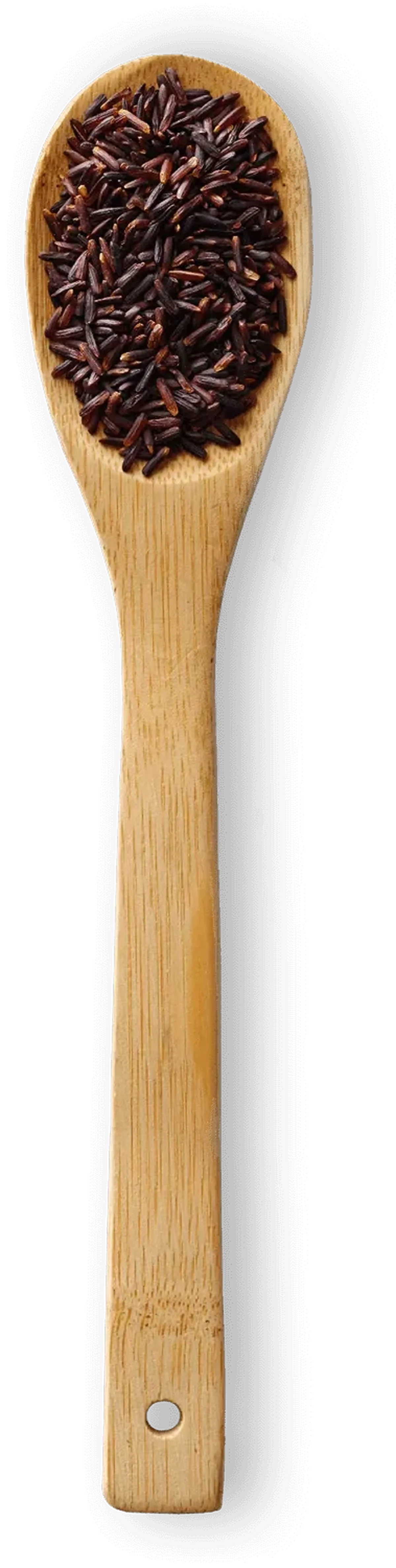 Spoonful of Black Rice rice