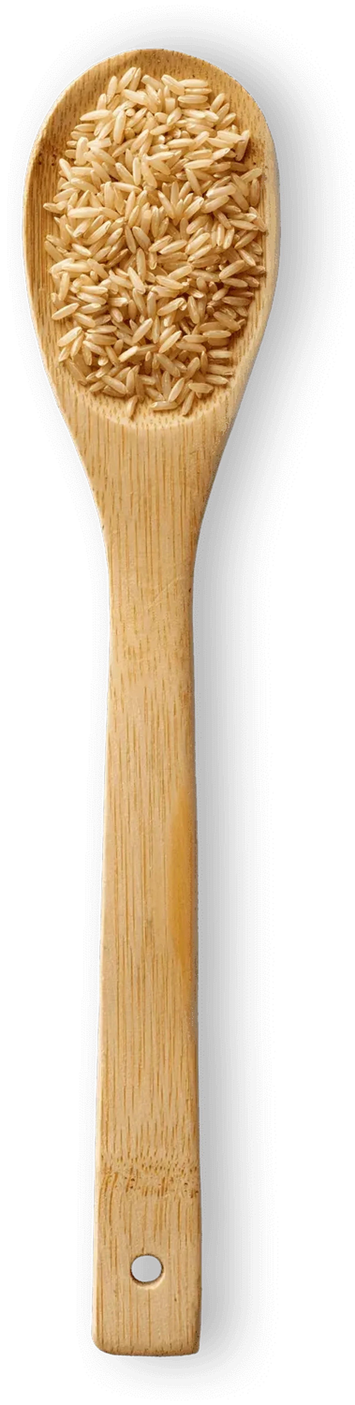 Spoonful of Brown Rice rice