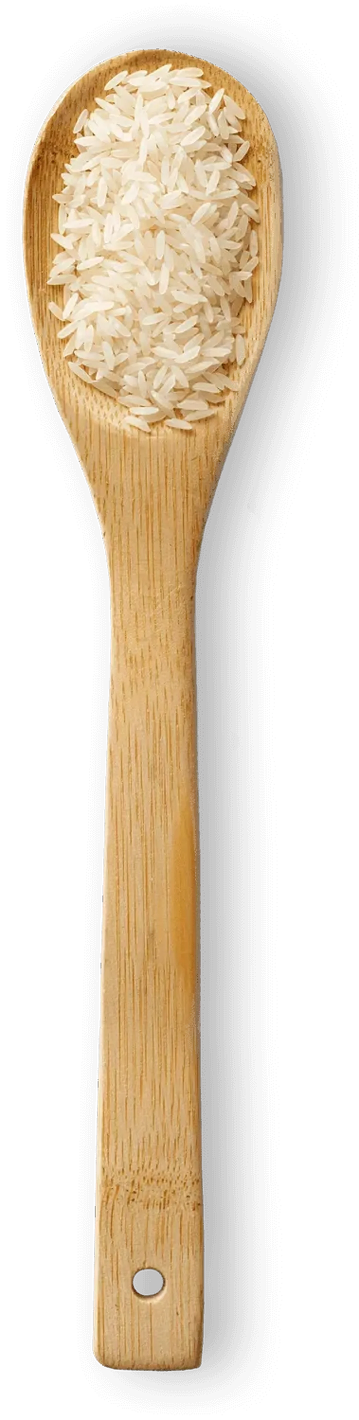 Spoonful of Jasmine rice