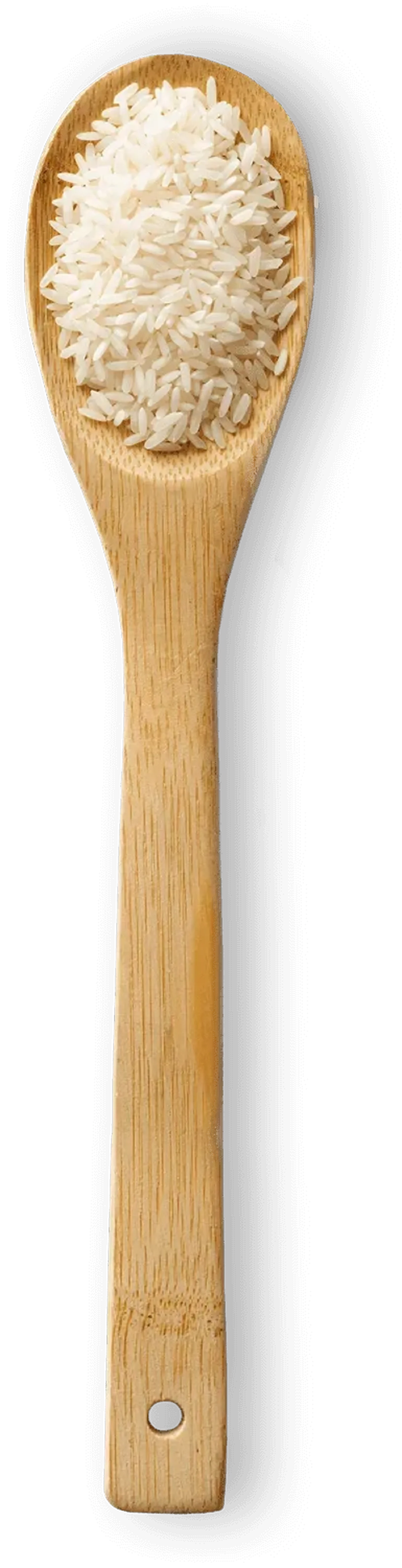 Spoonful of Low GI rice