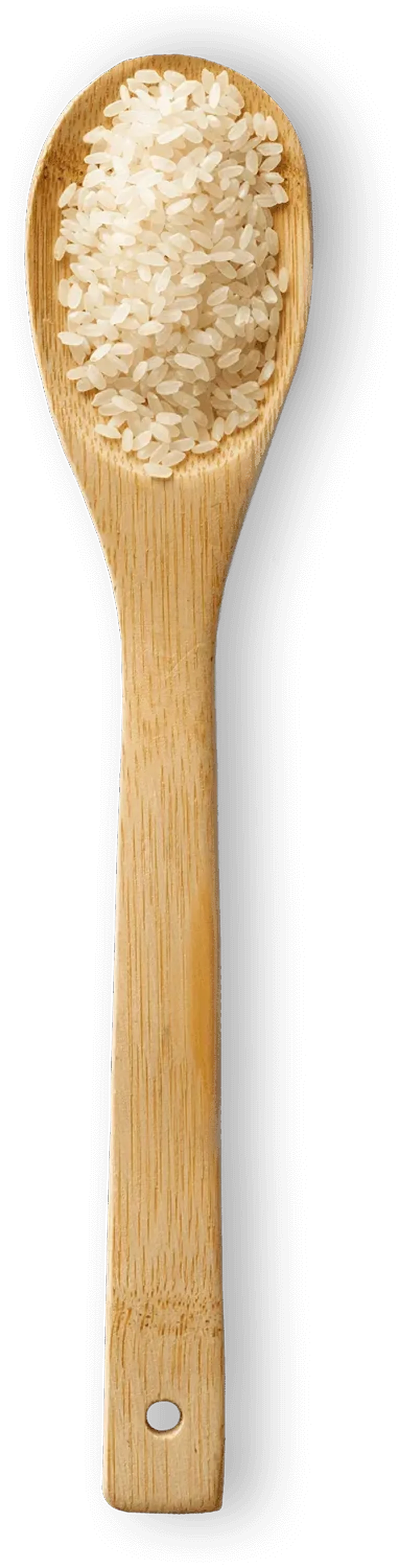 Spoonful of Medium Grain rice