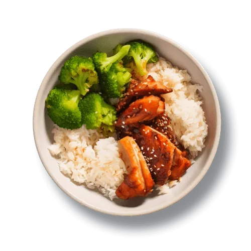 Japanese Meals