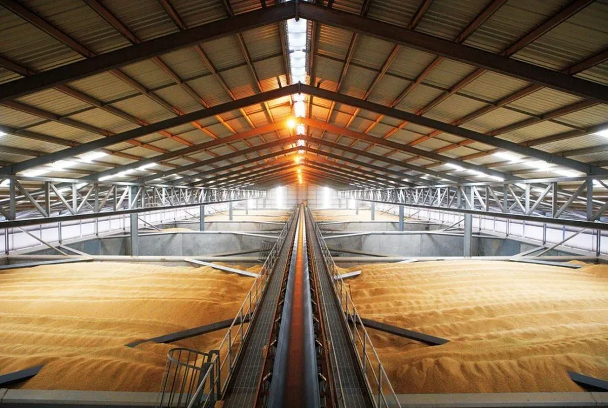Rice storage silos