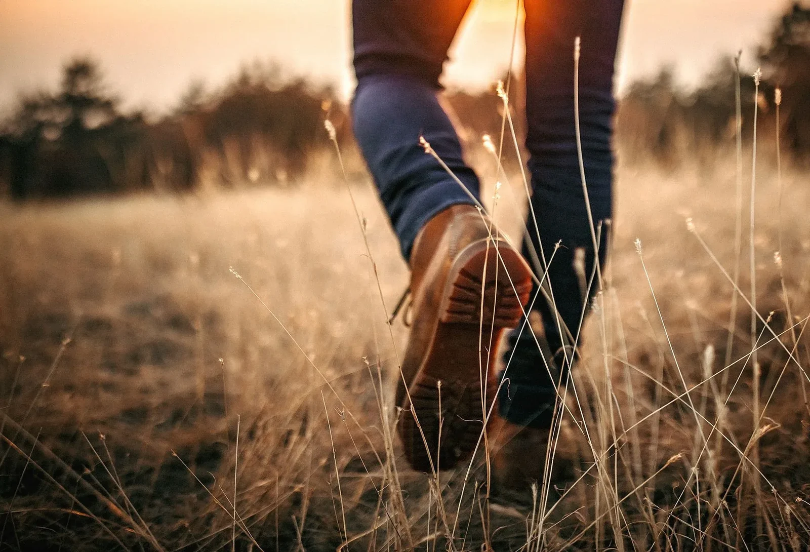 iStock-1185206896.jpg