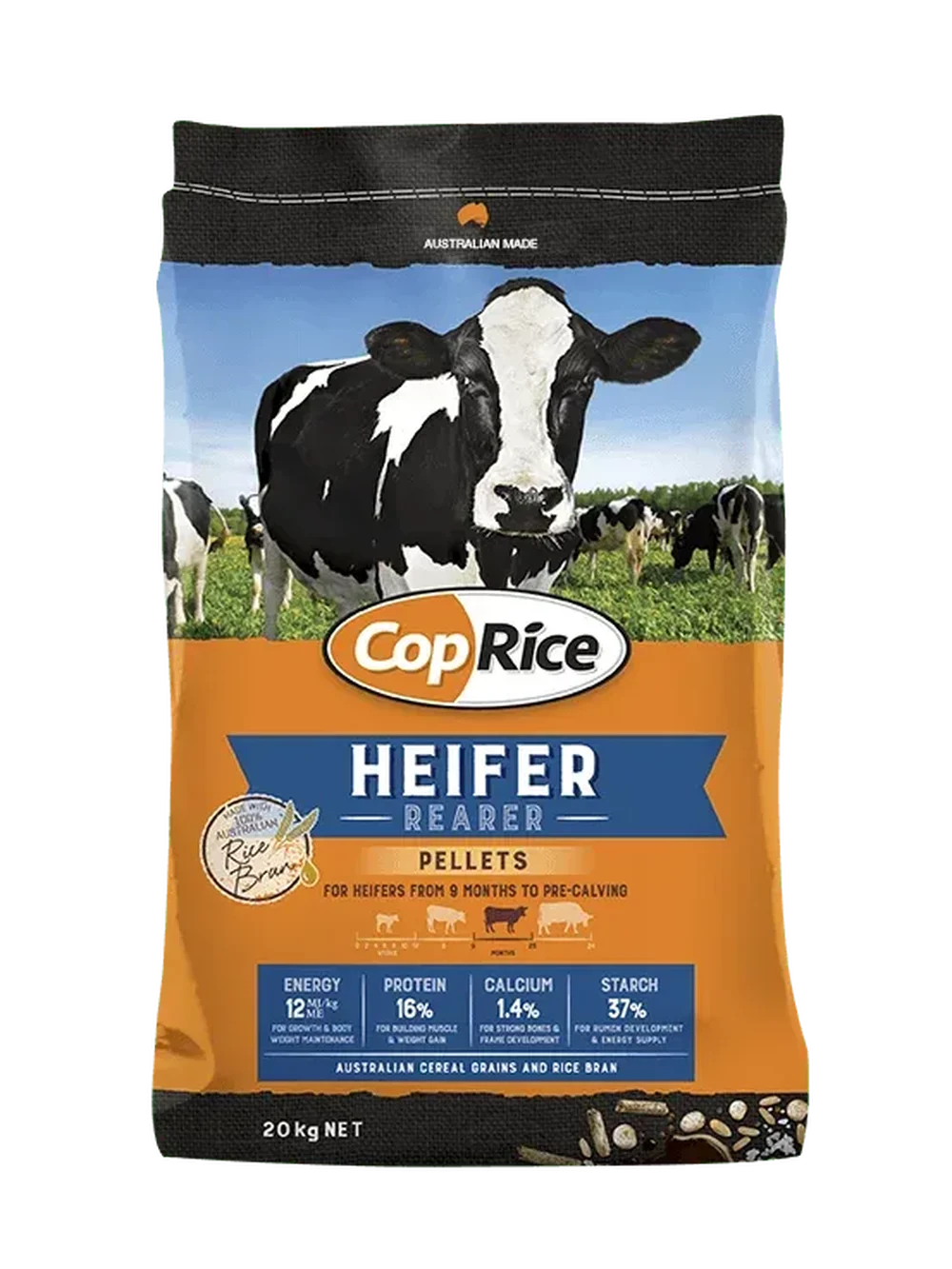 CopRice_Heifer_No FO.png