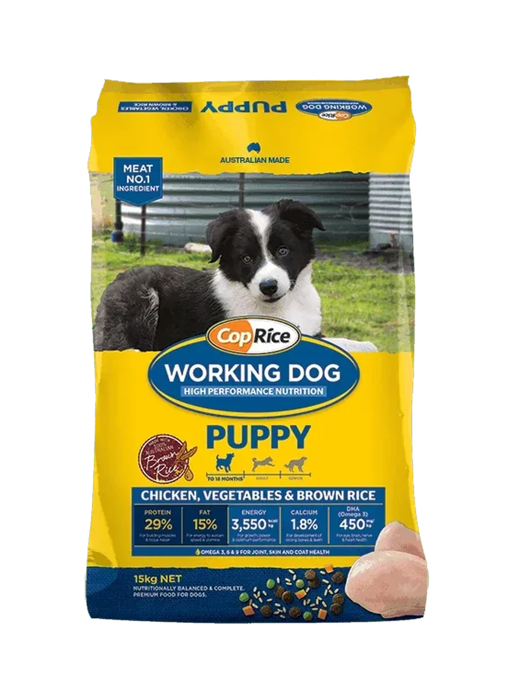 WD Puppy Chick_no FO.png