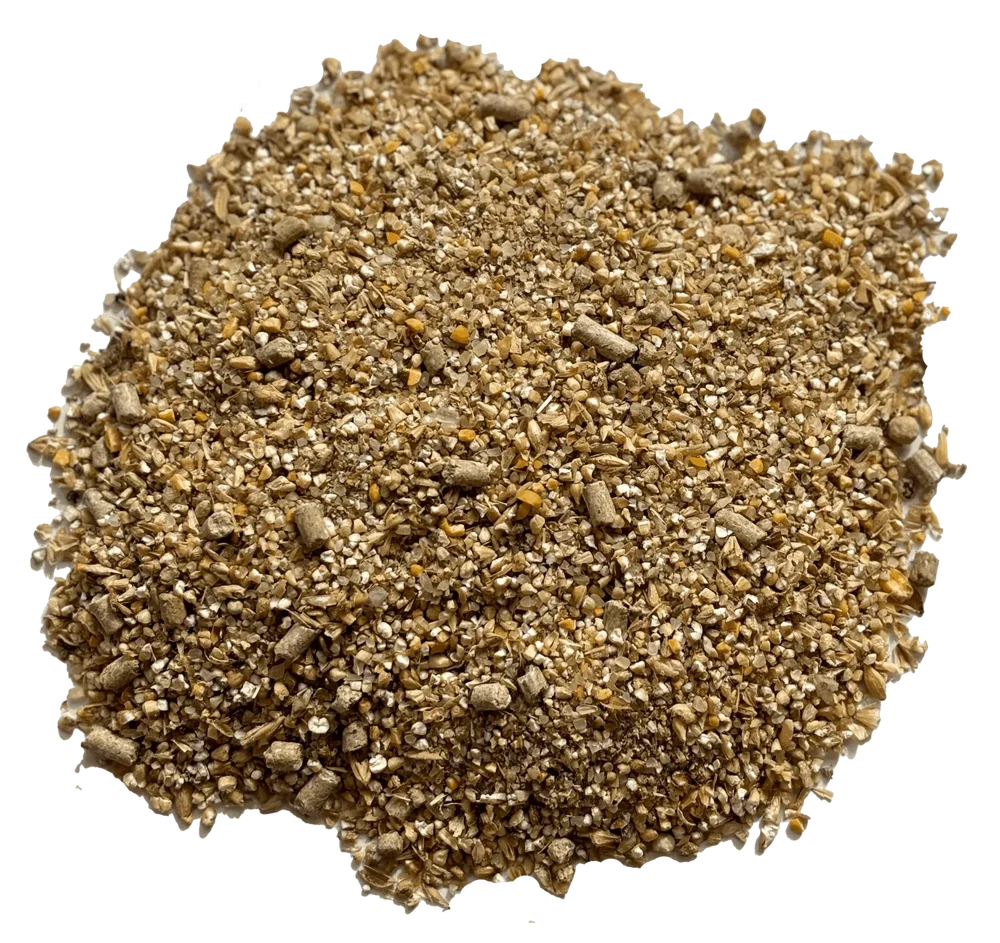 image2.png