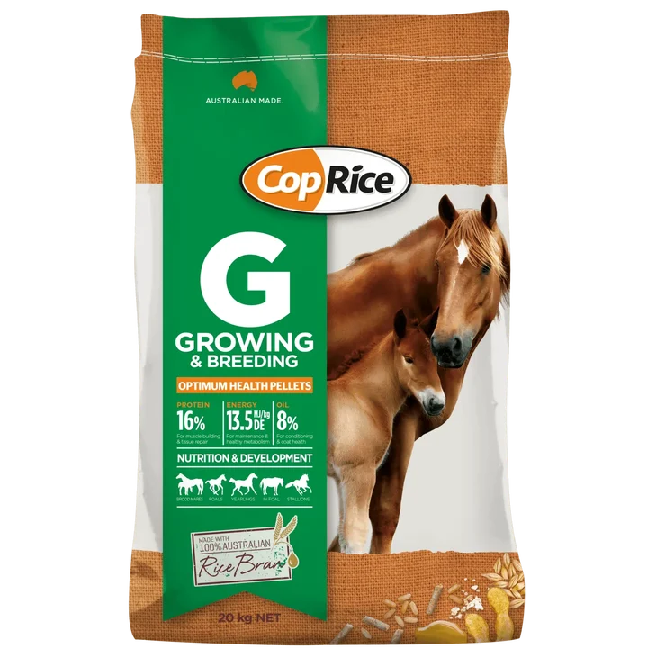 Eq.Base-G_20kg.png