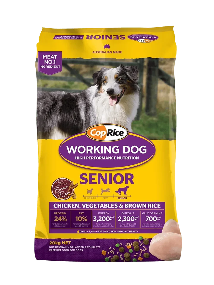 WD Senior Chick_no FO.png
