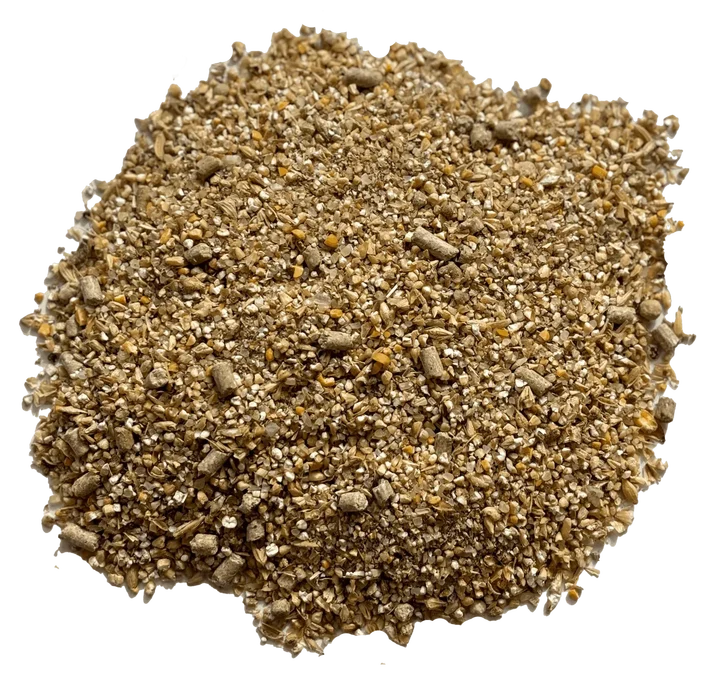 image2.png