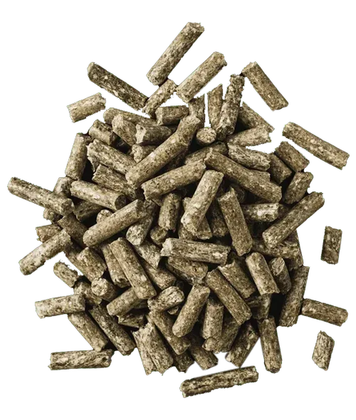 pellets (2).png